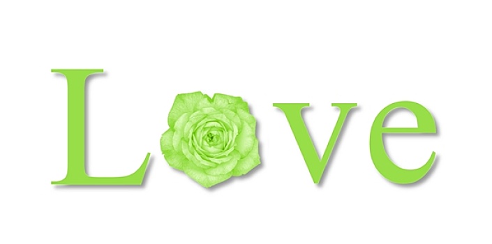 爱情,花,绿色