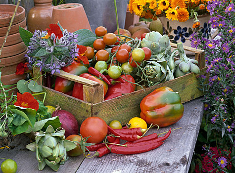水果,盒子,番茄,西红柿,西班牙洋蓟