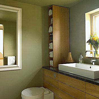 卫生间,绿色,墙壁,木家具,水槽,正面,窗户,墙镜