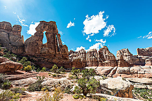 德鲁伊教,拱形,岩石构造,石头,峡谷,针,地区,峡谷地国家公园,犹他,美国,北美