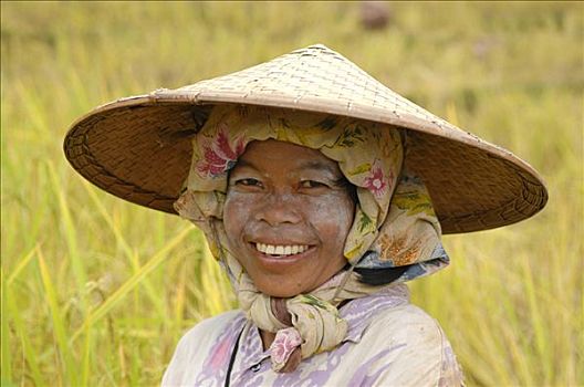 印度尼西亚,苏拉威西岛,岛屿,乡野,女人,帽子