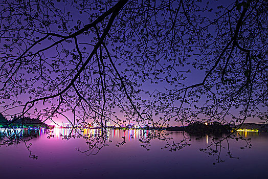 西湖夜色夜景
