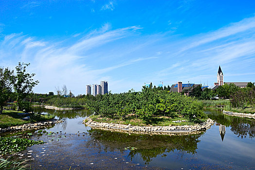 夏日龙湖