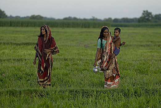 乡村,女人,草场,孟加拉,六月,2007年,孩子,山羊,黑色,状况,牲畜,抬起