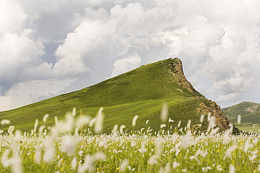 山,岩层,草地,内蒙古,中国