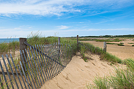 木篱,海滩,普罗文斯镇,科德角,马萨诸塞,美国