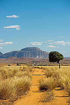 土路,帽子,石头,背景,马达加斯加