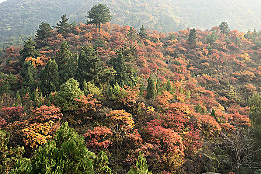 河北省石家庄市井陉县仙台山景区