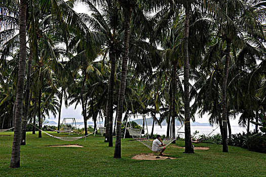 海滨椰树休闲区