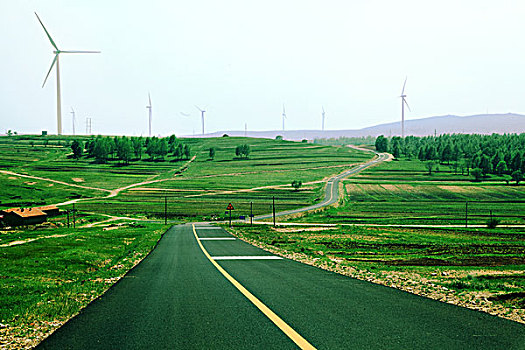 草原柏油路风车