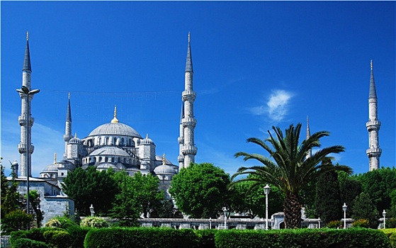 蓝色清真寺,清真寺,伊斯坦布尔