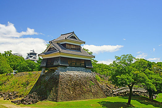 桨,熊本,城堡,遭受,地震,日本