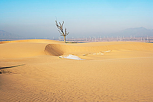 中国沙漠风景