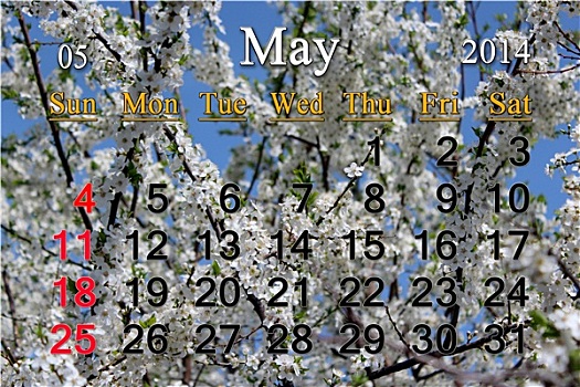 日程,五月,枝条,花