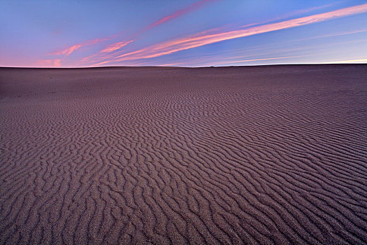 沿岸,沙丘,加利福尼亚