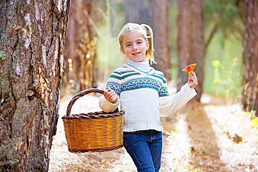 儿童,女孩,寻找,鸡油菌,蘑菇,篮子,树林