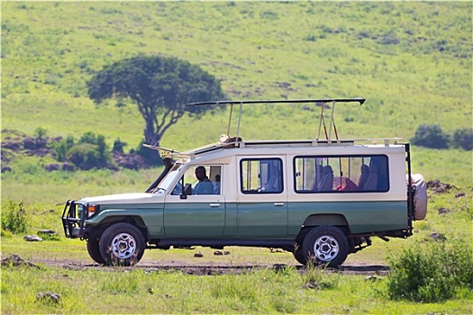 吉普车,非洲野生动植物,旅游
