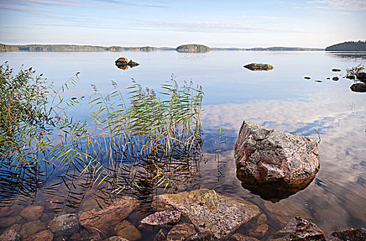 海边风景,莎草,石头,湖,卡瑞里亚,芬兰