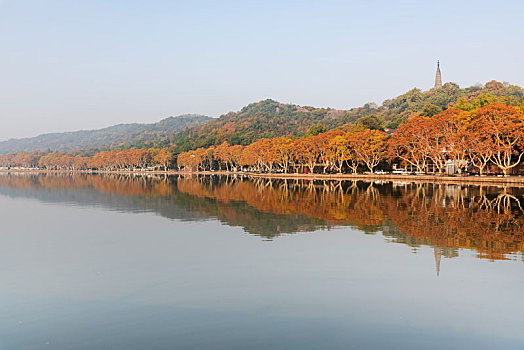 杭州西湖宝石山秋景
