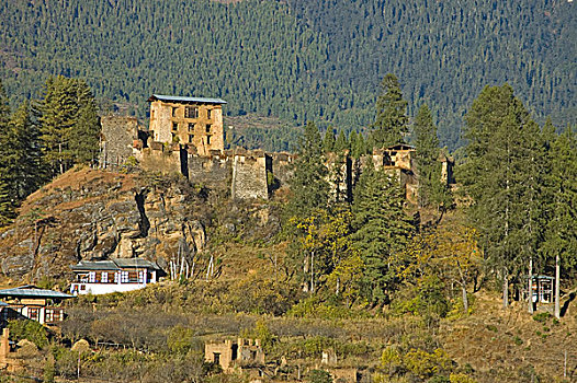 古老,宫殿,山,不丹,十一月,2007年