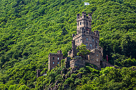 城堡,悬崖,莱茵河,科布伦茨,德国