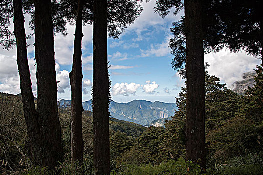 阿里山