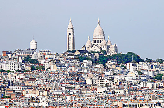 全景,拱形,背影,大教堂,巴黎,法国,欧洲