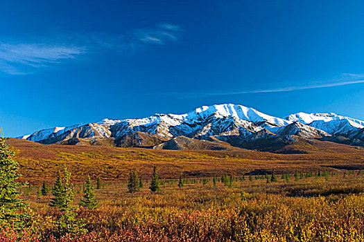 美国,阿拉斯加,麦金利山,山脉,德纳里峰国家公园