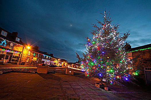 户外,树,装饰,彩色,光亮,圣诞节,诺森伯兰郡,英格兰