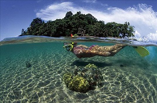 女人,潜水,水上运动,假日,巴布亚新几内亚,水下,岛屿,探险