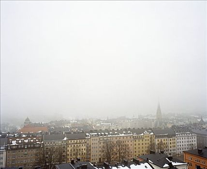 雾,冬天,白天,斯德哥尔摩,瑞典