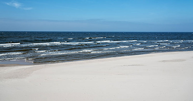 海滩,波罗的海,西部,博美狗,沙子,天空
