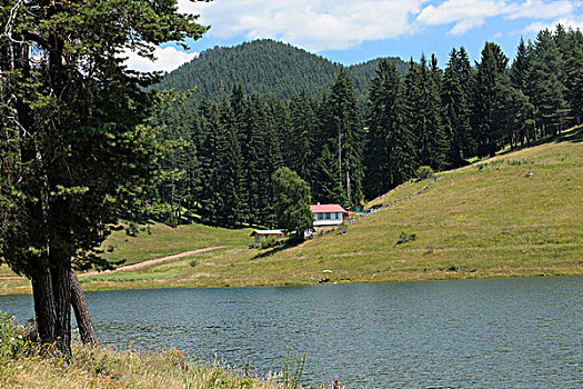 别墅,湖,保加利亚