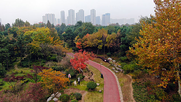 山东省日照市,航拍深秋时节的植物园,色彩斑斓景色迷人