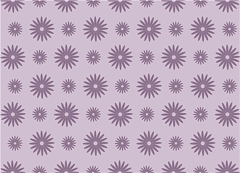 紫色,雏菊,花卉图案