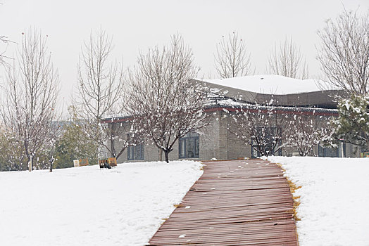 河北省石家庄正定县,云居湖公园雪景