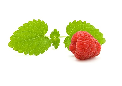 树莓,绿叶,白色背景,背景