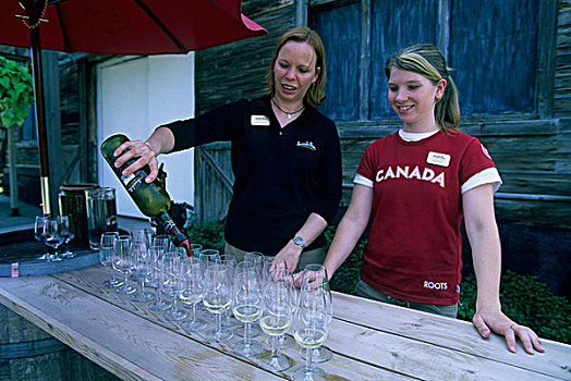 加拿大,安大略省,尼亚加拉湖畔市镇,葡萄酒厂,品酒