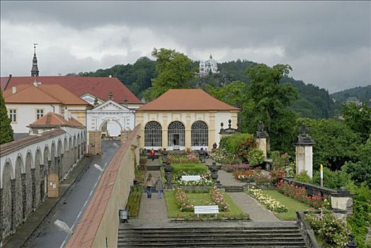 玫瑰,花园,城堡,波希米亚,捷克共和国