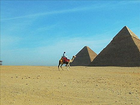 侧面,一个,男人,骆驼,正面,金字塔,吉萨金字塔,开罗,埃及