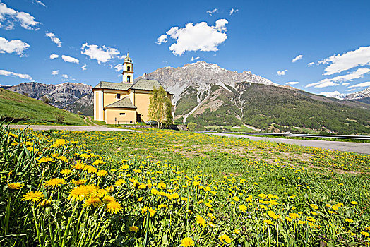 黄花,绿色,草地,教堂,博尔米奥,国家公园,伦巴第,意大利