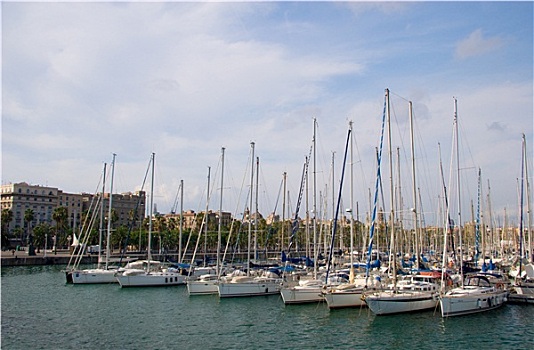 游艇,巴塞罗那,港口