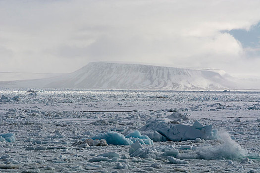 北冰洋,海冰,雪,海边风景,峡湾,斯瓦尔巴特群岛,挪威