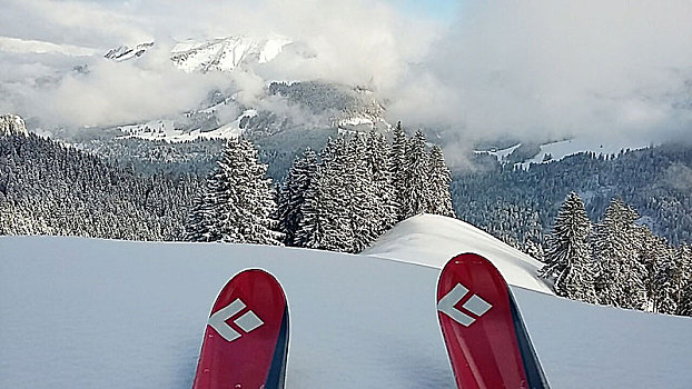 滑雪,冬天,风景