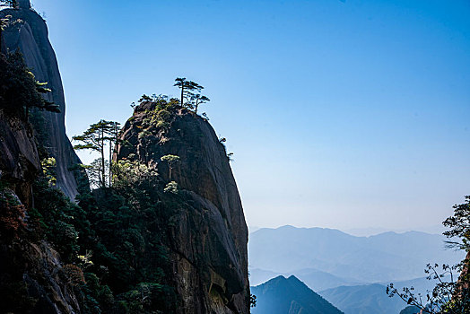 江西上饶三清山南清园,神龙戏松