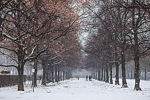 德国,巴伐利亚,慕尼黑,宫廷花园,公园,早,雪