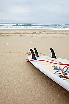 冲浪板在海滩,地,兰德斯,阿基坦,法国