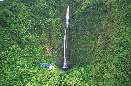 夏威夷,夏威夷大岛,山谷,瀑布,直升飞机,悬空,高处,雨林