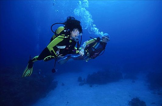 潜水,一个,两个,教育,加勒比海