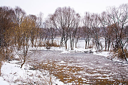 雪景